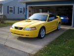 stang2.jpg