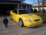 stang3.jpg