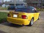 stang4.jpg