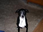 Buddy Photos