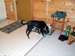 up_north_2001_002.jpg