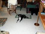 up_north_2001_003.jpg