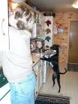up_north_2001_006.jpg
