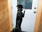 up_north_2001_007.jpg