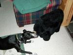 up_north_2001_009.jpg