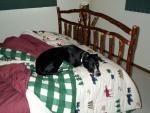 up_north_2001_018.jpg