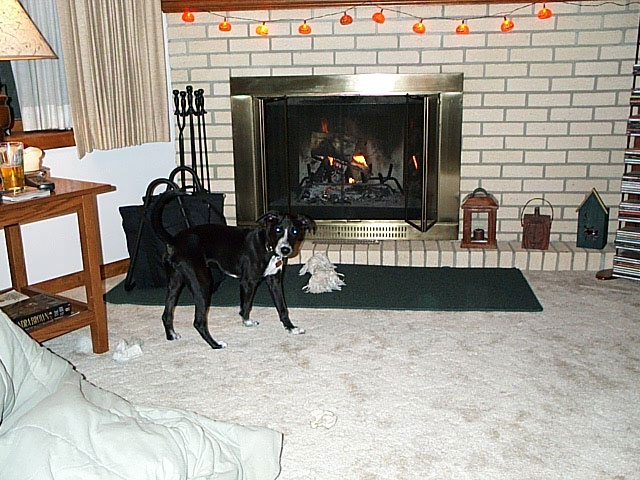 buddy_and_fire_3.jpg