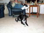 buddy_and_meg2.jpg