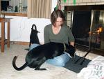 buddy_and_sarah4.jpg