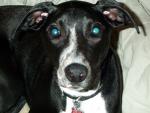 buddy_close_up.jpg