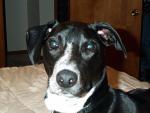 buddy_close_up_3.jpg