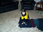 buddy_coat3.jpg