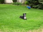 buddy_spring05.jpg