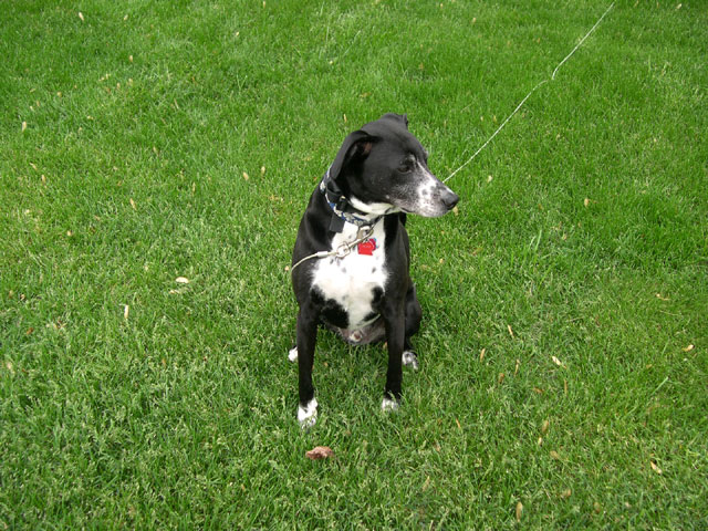 buddy_spring05_2.jpg