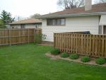 back_yard3.jpg