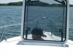 jack_on_boat2.jpg