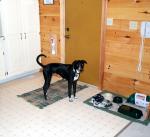 up_north_2001_001.jpg