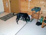 up_north_2001_002.jpg