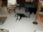 up_north_2001_003.jpg