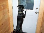 up_north_2001_007.jpg