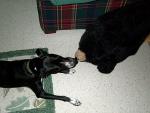 up_north_2001_010.jpg