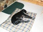 up_north_2001_016.jpg