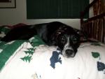 up_north_2001_019.jpg