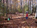 up_north_100617.jpg
