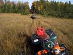 up_north_100622.jpg