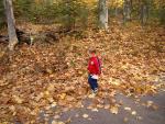 up_north_100625.jpg