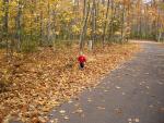up_north_100626.jpg