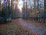 up_north_10063.jpg