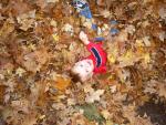 up_north_10064.jpg