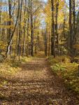 up_north_10069.jpg