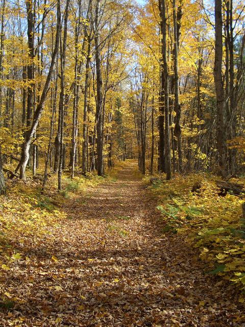 up_north_10069.jpg