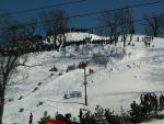 Picture_014.jpg