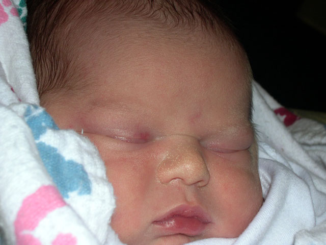 owen_close_up.jpg