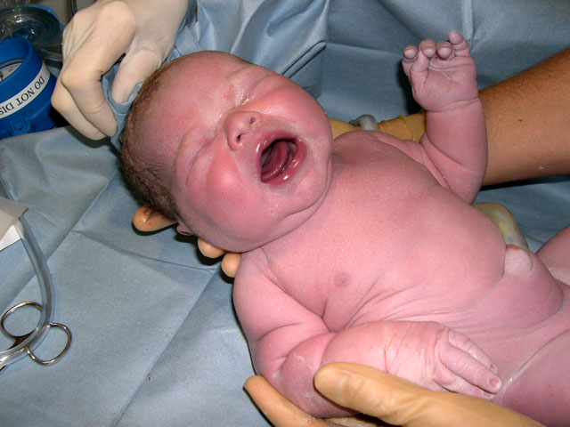 owen_first_born.jpg