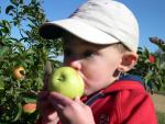 jack_bit_apple3.jpg