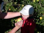 jack_bit_apple.jpg