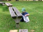 forest_adventure_1.jpg