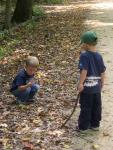 forest_adventure_2.jpg