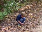 forest_adventure_3.jpg