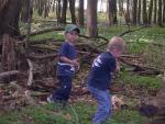 forest_adventure_4.jpg
