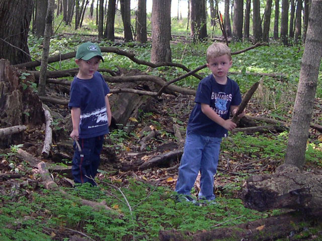 forest_adventure_5.jpg