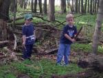 forest_adventure_5.jpg