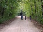 forest_adventure_6.jpg