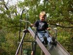 forest_adventure_9.jpg