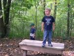 forest_adventure_10.jpg