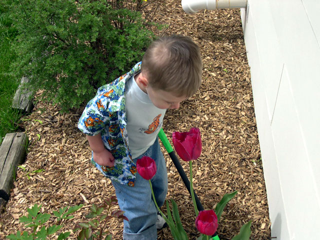 jack_flowers2.jpg
